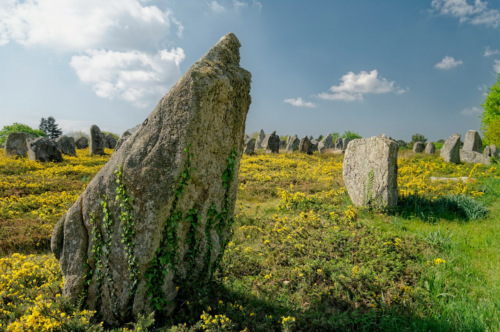 gray rock formation on green grass field under white clouds during daytime